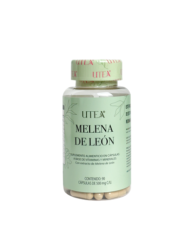 Hongo melena de león