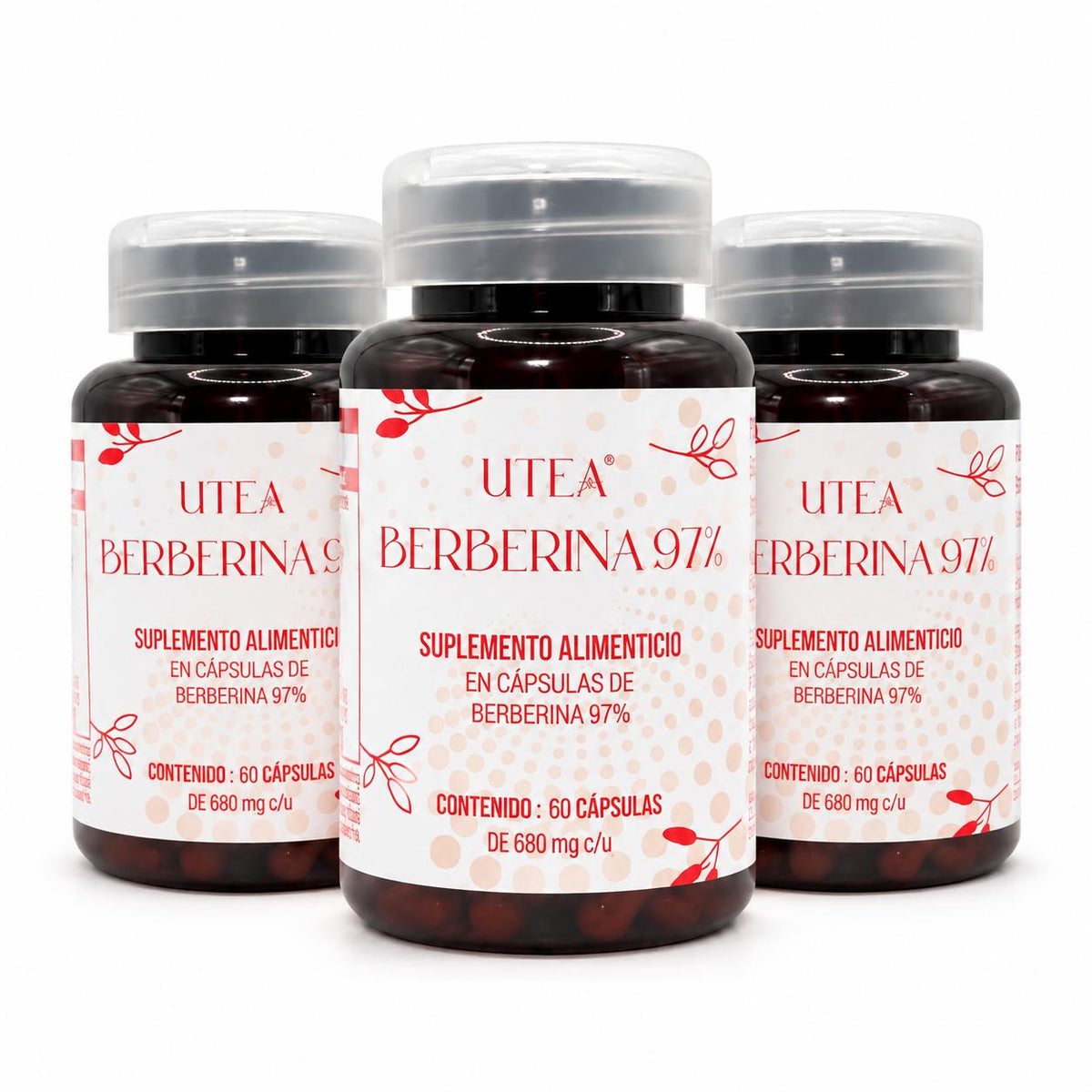BERBERINA 97% 3 PACK | CONTROL DE PESO Y METABOLISMO ACTIVO