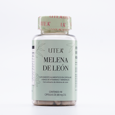 Hongo melena de león - Tienda Utea